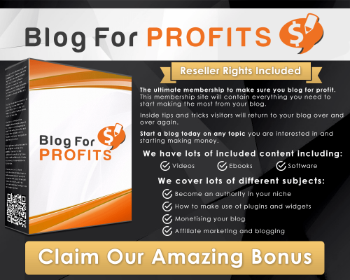 bonus 5 blog for profits